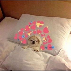 Meet your Posher, Miriam